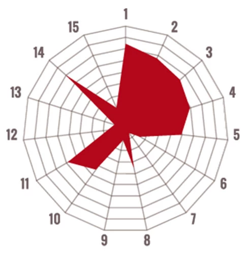 Di Giampaolo Espresso Libeccio - Espresso Italiano – Bild 2